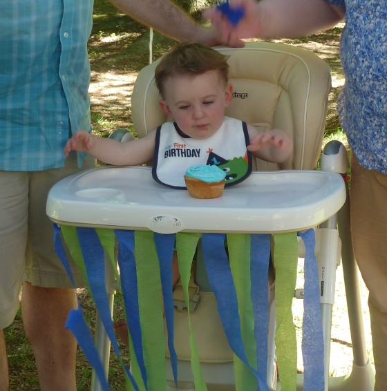 Mikey's 1st Bday Party (115)